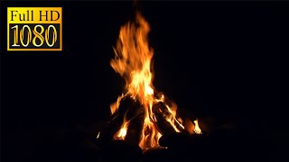Evening Campfire by the River | Calming Nature Ambience with Crackling Fire Sounds - 1080p HD