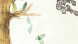 A Life Cycle/Metamorphosis (My First Stop Motion)