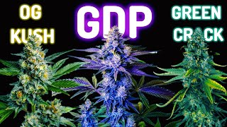 The Most Famous Cannabis Strains In The World | Retro Tech Compilation