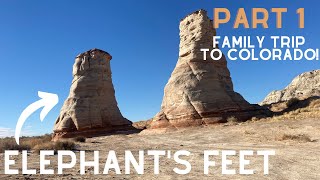 Family Trip To Colorado! Part 1 - FPV Rip