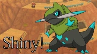 Shiny Fraxure after 10,984 Encounters!