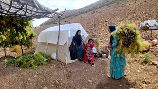 Continuing the nomadic migration and making a canopy for the family of twins, 2023