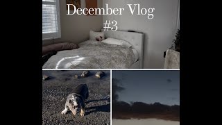 VLOG - morning walk & my bedroom tour ! | Haley Dunn