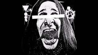 Phyllomedusa - You're One Of My Memories And I Fucking Hate It