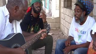 WILDLIFE - "GANJA YARD" ACOUSTIC - LIVE & DIRECT IN JAMAICA - 2014
