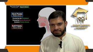Borders of Oral Cavity Proper & Detailed Hard Palate Anatomy | Smart Dental Academy
