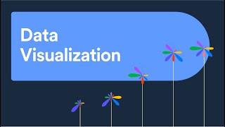 Interactive and live survey data visualization