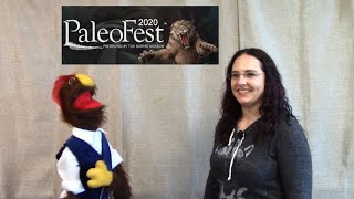 Erin Fitzgerald│University of Chicago Fossil Lab│PaleoFest 2020│Burpee Museum Event
