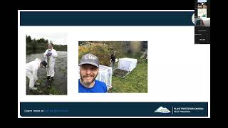 Celebrating 50 Years: Washington's Spongy Moth Program