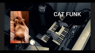 CAT FUNK . ft. Pintas - Lucas Rodrigues