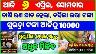 today's morning news odisha || Odia News | 6 April 2026 | CM Kisan |subhadra yojana online apply