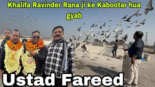 Khalifa Ravinder Rana ji ke Kabootar hua gyab 😍 // Talim Ustad Fareed Khalifa Ravinder Rana