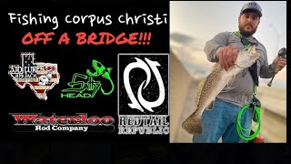 Fishing In Corpus Christi OFF A BRIDGE!!!