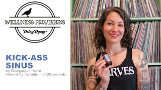 Sinus Infection Relief | Kick Ass Sinus | Herbal remedies for colds horseradish yerba santa benefits
