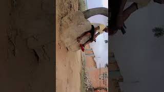 Behra Baredi Bundeli comedy video.    part:1