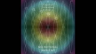 Timothy Donavan Russell - Tea Conditions (Mixolydian Diatonic Tonos) (Microtonal Ambient)