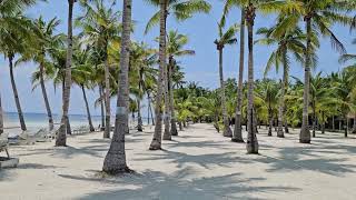 Dumaluan Beach Bohol Beach Resort. Panglao.  A safe place meditation 🧘‍♀️ 🙏