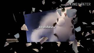 Like if you love cats!!!!