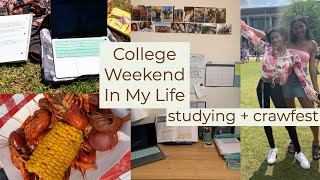 Study With Me + Crawfest || (College Weekend In my Life) Tulane Freshman