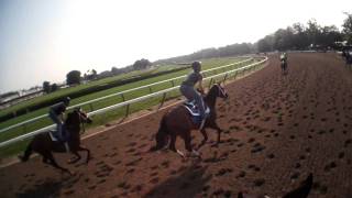 JonesCAM HD JockeyCAM used during Gary Contessa training at Saratoga Raceway