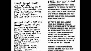 SOJA ft Gentleman - I Tried