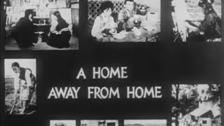 A Home Away From Home, The stories of Tibetan in exile in early 1960 ( India )