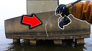 The FISH Were ALL OVER THIS STRUCTURE! Sheepshead Fishing