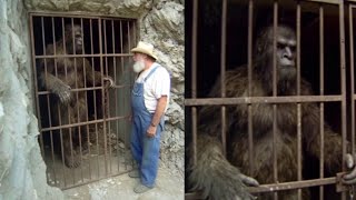 They Paid Him to Watch Bigfoot, After What It Told Him About Humans, He Set It Free –Sasquatch Story