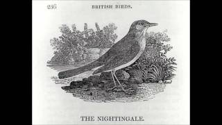 Nightingale 2012 Todd Dillingham and Pete McCabe