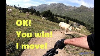 My first Bike Park: Barèges Bike Park, Green, Blue, and special guests