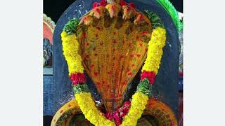 నాగ పంచమి రోజు ఏమి చేయాలి#today#pooja#temple#god#best#astrology#trend#trending#video#videos#new#new