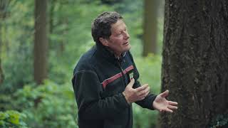 Schwarzwald CleanUP Days 2024: Forest Talk - presented by PATRON