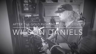 After The Gold Rush | Neil Young - Cover by Wilson Daniels
