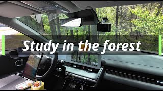 4HR STUDY WITH ME |  Study in the forest, Background noise, No music, Anywhere Study