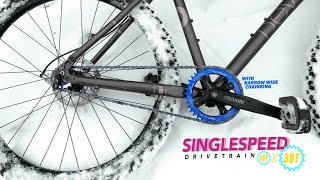 Singlespeed Without Tensioner: Putting a Narrow Wide Chainring on It