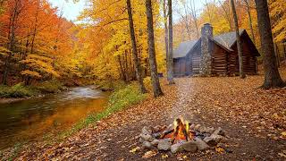 Autumn Campfire beside River – Birdsong and Calm Nature Ambience