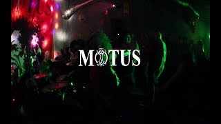 Motus, No More Idols, CC (AKC Medika/Grey Room 2.11.2019.)