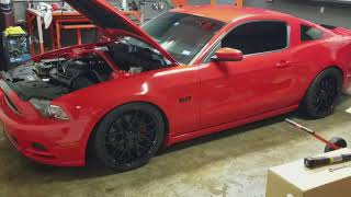 Mustang GT project - 1 Month Progress
