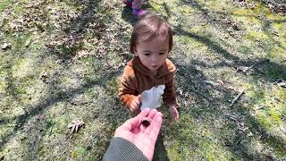 Eating what we find on our land - Enjoying Springtime Michigan Weather - Back to nature 🇺🇸 