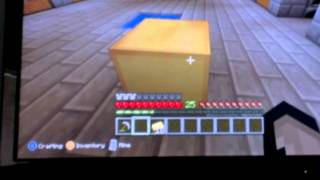 Minecraft:Duplication glitch