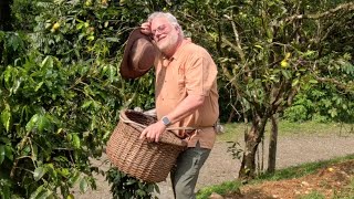 Manual Antonio Coffee Tour | Costa Rica