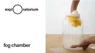 Fog Chamber - Science Snack Activity