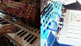 Lizard System Clips Medley  2019