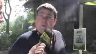 NYNOISE.TV |  TED LEO at pitchfork fest