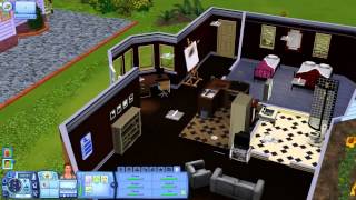 The Sims 3 ep. 22 - Useful Shit