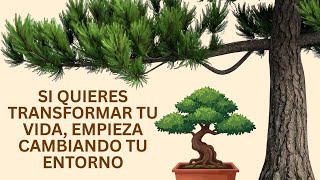 Si quieres transformar tu vida, empieza cambiando tu entorno #lugares #buenavida #buddhismo