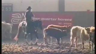 RDVideo 1/2 - AICH - BRIDLELESS 2001 (Associazione Italiana Cutting Horse)
