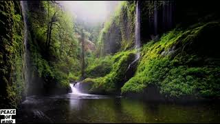 1 HOUR Beautiful Piano music, Relaxing Music for Studying and Deep Sleep