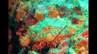Thailand Andaman Sea Bida Nok