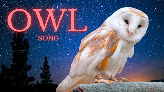 Owl Song - (Music Video - Kids Song)
